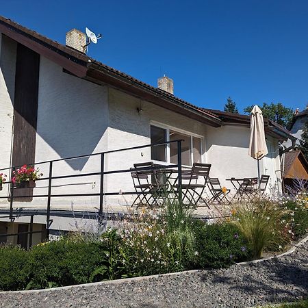 Penzion U Vichu Červená Voda Exterior foto