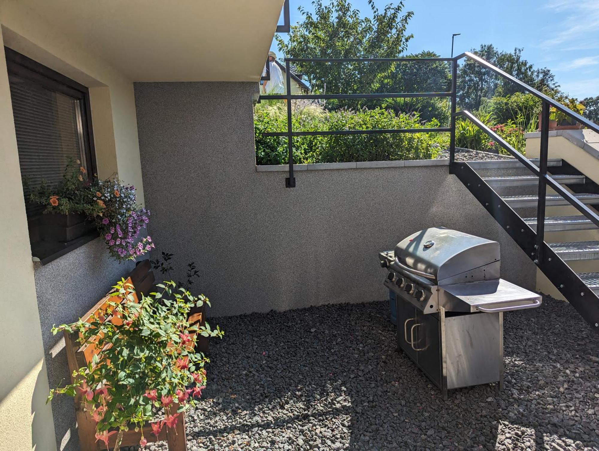 Penzion U Vichu Červená Voda Exterior foto