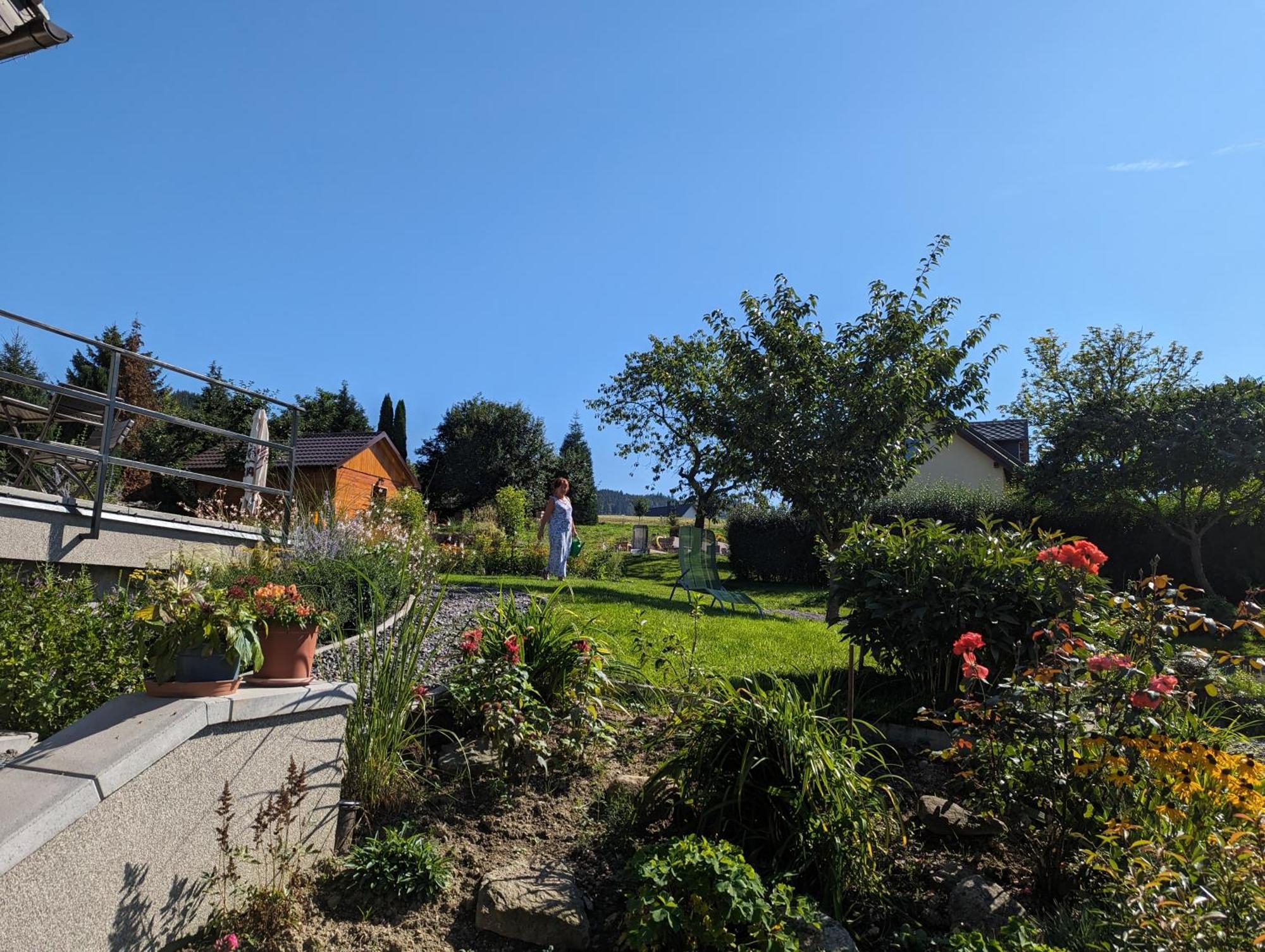 Penzion U Vichu Červená Voda Exterior foto