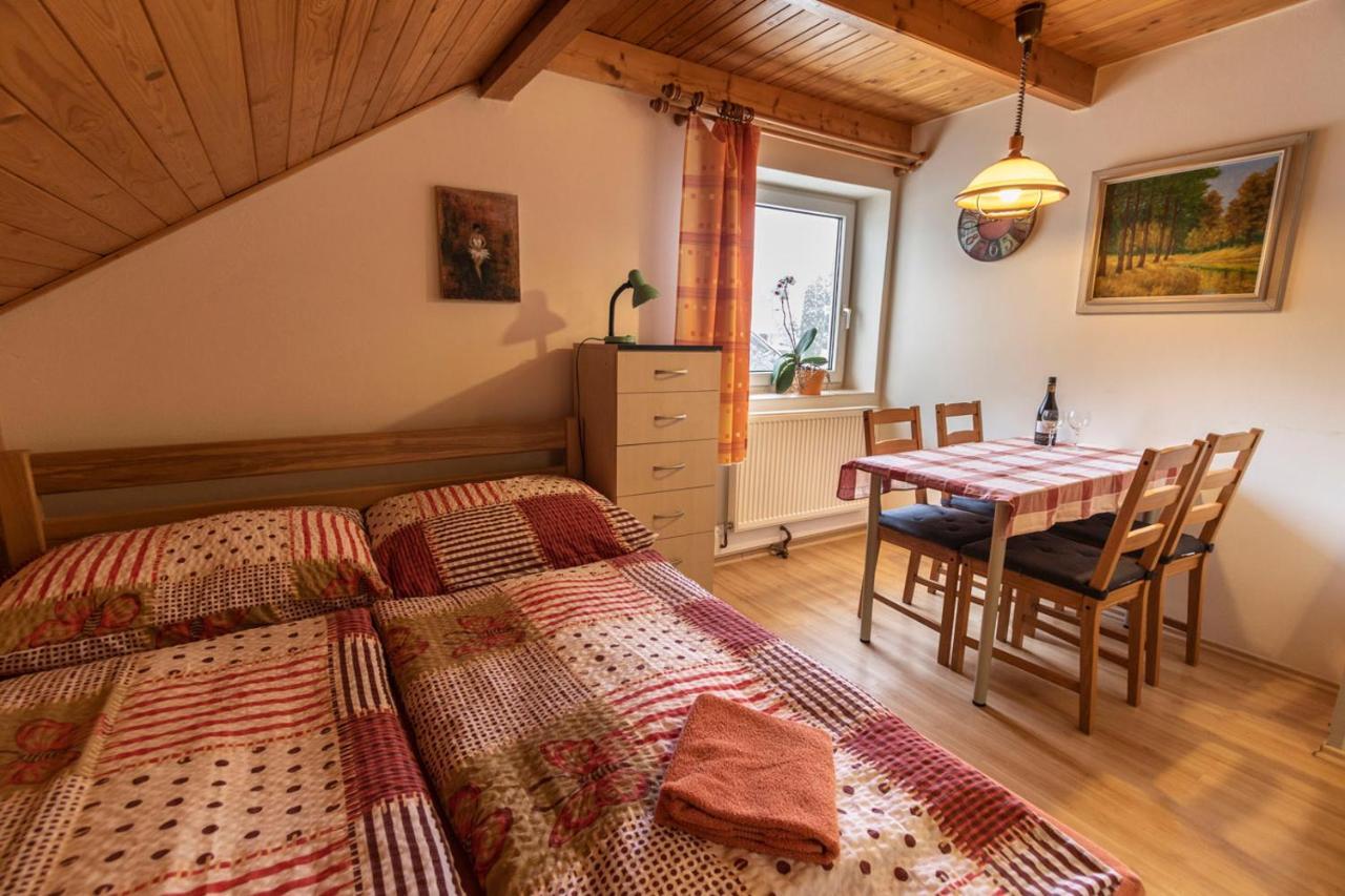 Penzion U Vichu Červená Voda Exterior foto