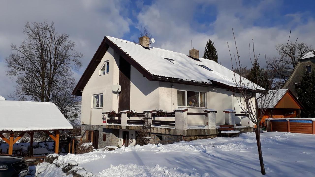 Penzion U Vichu Červená Voda Exterior foto